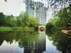 -洋湖国家湿地公园