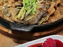 -老板恋上鱼(恒隆广场店)