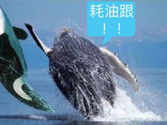 -老牌坊云南鱼豆花火锅(哈西万达店)