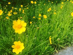 -南山风景名胜区