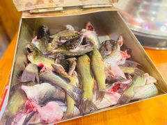-三道苗苗鱼·美蛙黄辣丁(八里店)
