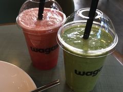 -Wagas沃歌斯(富力广场店)