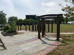 -漕湖湿地公园