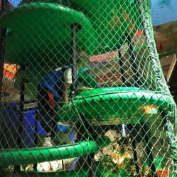 -恐龙探索乐园(磁器口店)