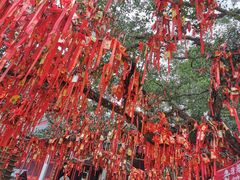 -国恩寺