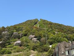 -梧桐山风景名胜区