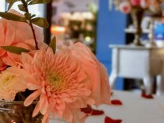 -L'amour澜茉·轻法餐
