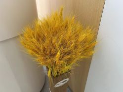 -康美贞·痘肌养护管理中心