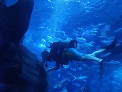 -多彩贵州城极地海洋世界