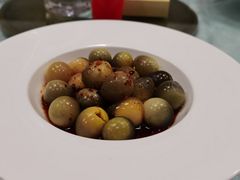 -丁老爷子苏香圆