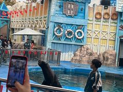 -华夏文旅海洋公园