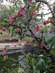 -莲生母婴月子中心(清水河公园店)