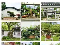 -上海植物园-4号门售票处