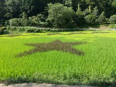 -韶山毛泽东同志故居