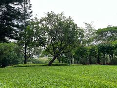 -荔香公园