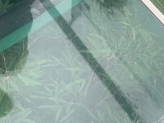 -陶祖圣境风景区