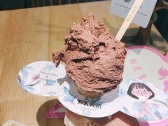 -野人先生现做冰淇淋(北京顺义祥云小镇店)