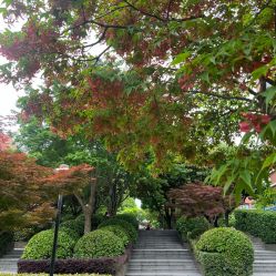 -复旦大学附属儿科医院