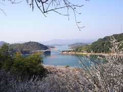 -广州市流溪河国家森林公园