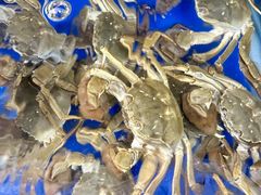 -阳澄湖大闸蟹·琼灵阁牌品牌连锁(吴中总店)