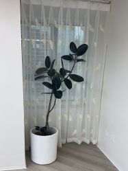 点击看大图 -HEYAN荷妍专业脱毛连锁机构