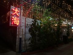 -大海别墅民宿农家院(十渡店)