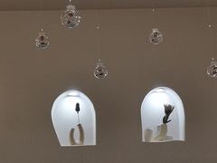 -More Fun猫咖 二十只万元加菲主题
