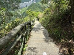 -梧桐山风景名胜区