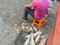 -大湾区中央湿地公园-十九涌