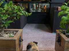 -COMMUNE幻师(五角场店)