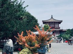 -法门文化景区