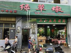-绿草墩