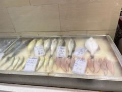 -陶然饺子城(奥体中路店)