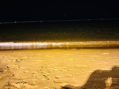 -威海国际海水浴场旅游区
