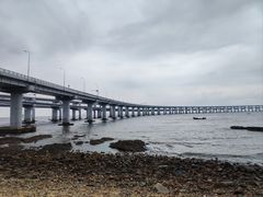 -星海湾跨海大桥