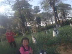 -松山湖梦幻百花洲