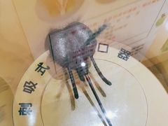 -上海昆虫博物馆