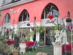 -Daddy Nimman Chiang Mai