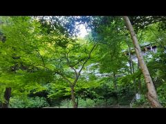 -南山风景名胜区