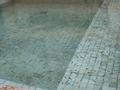 -春晖园度假酒店温泉