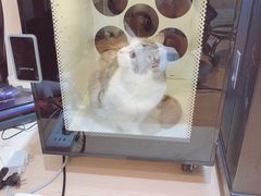 -Pets First伊珊娜洗护·精致美容·家庭式寄养(新会路店)