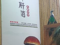 -大理董·董家小厨野生菌火锅(古城旗舰店)