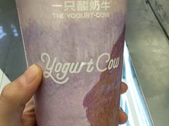 -一只酸奶牛(兰州中心店)