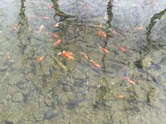 -水磨沟公园