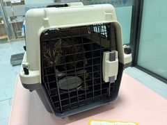 -嘉馨宠物医院·CT影像转诊·心脏科·犬猫全科诊疗中心(下沙大学城院区)
