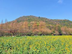 -八卦田遗址公园