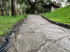 -九龙寨城公园