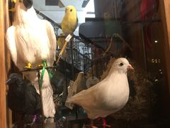 -RGF(巨鹿路店)