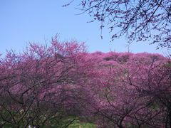 -溪口-滕头旅游景区