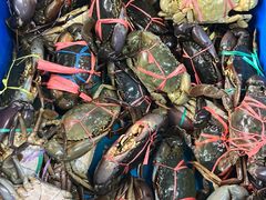 -旗鱼海番村(Orang Asli)